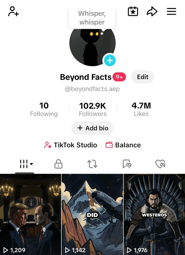 TikTok Account Performance