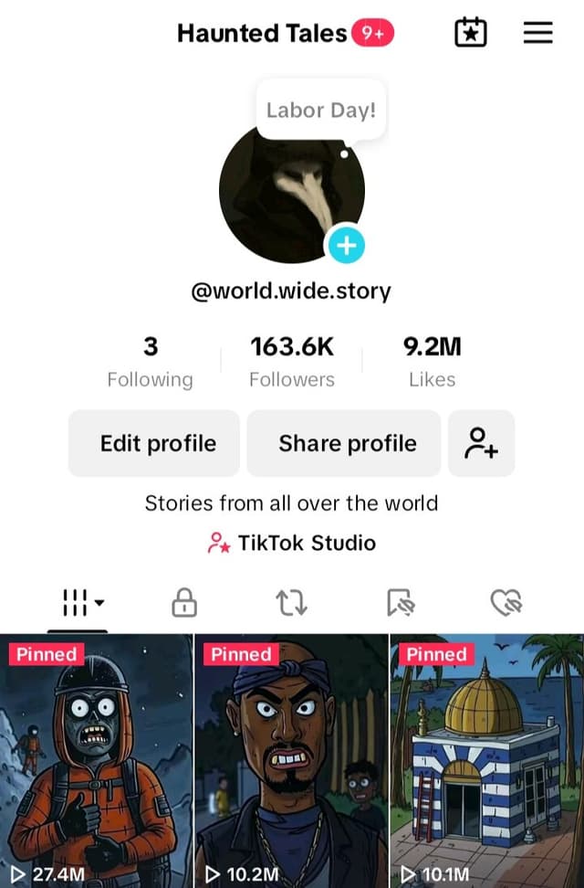 TikTok Account Performance